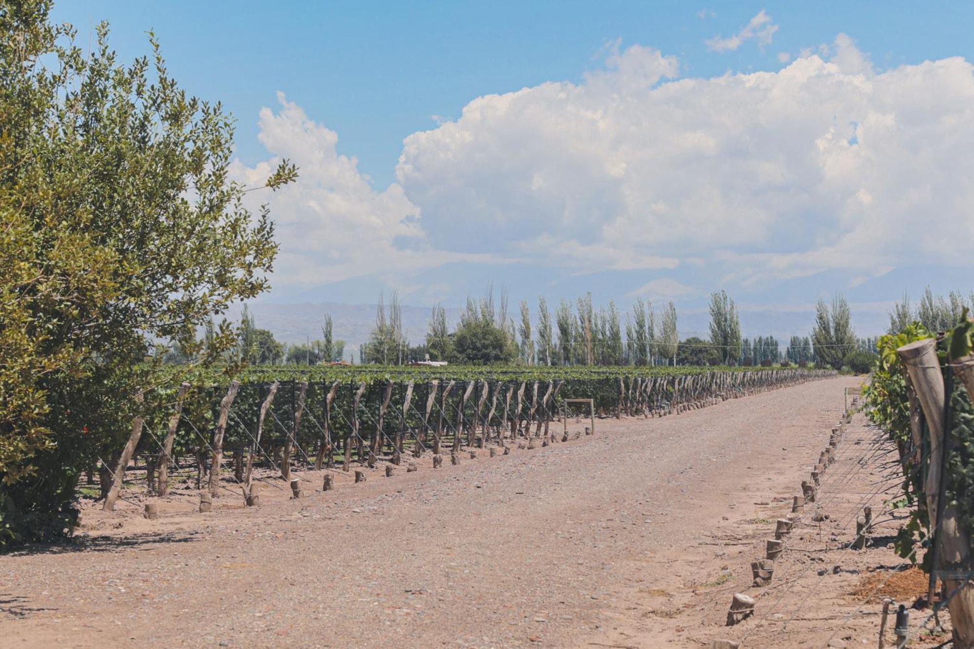Enlace Wine House Lujan de Cuyo Exterior foto